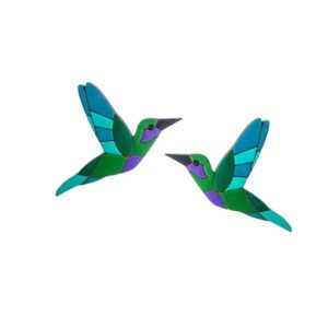 Topo Totumo Aves de mi jardin colibri